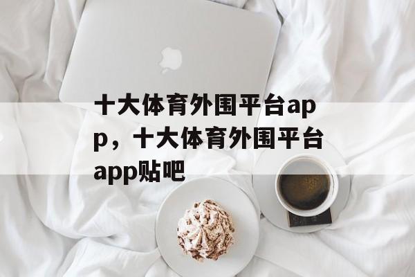 十大体育外围平台app，十大体育外围平台app贴吧